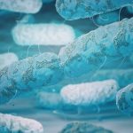 IIT-Kharagpur Biotech Research Associate