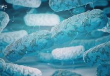 IIT-Kharagpur Biotech Research Associate