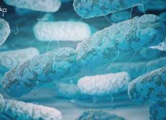 IIT-Kharagpur Biotech Research Associate