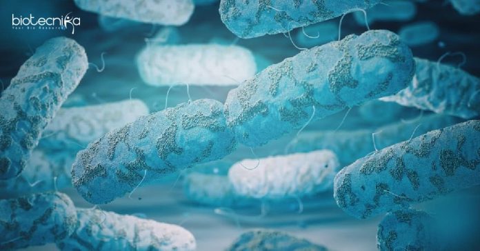IIT-Kharagpur Biotech Research Associate