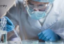 Life Science & Biotech Senior Project Scientist Job at IIT Mandi IIT Mandi Project Scientist