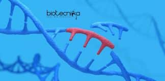 Life Science DU Job