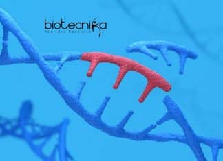 Life Science DU Job