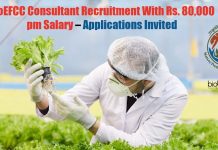 MoEFCC Consultant Recruitment With Rs. 80,000 pm Salary – Applications Invited MoEFCC Consultant Job