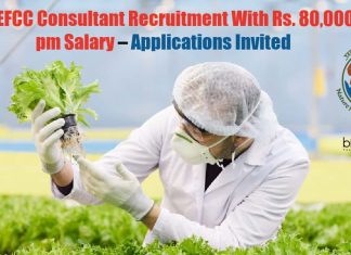 MoEFCC Consultant Job