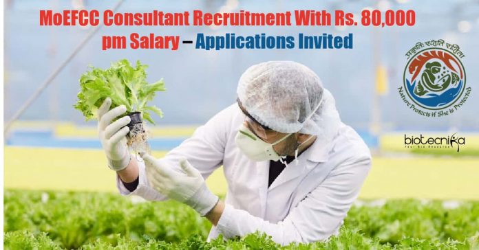MoEFCC Consultant Job