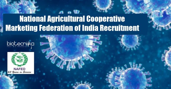 NAFED Jobs 2020