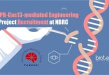 CRISPR-Cas13-mediated Engineering Project Recruitment at NBRC NBRC Molecular Biology Jobs