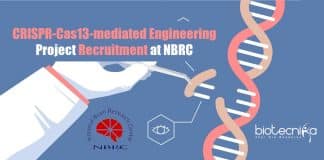 NBRC Molecular Biology Jobs