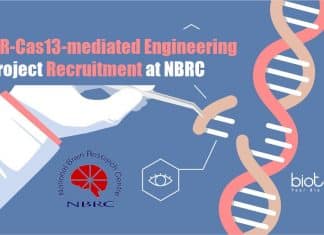 NBRC Molecular Biology Jobs