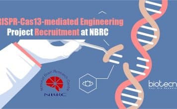 NBRC Molecular Biology Jobs
