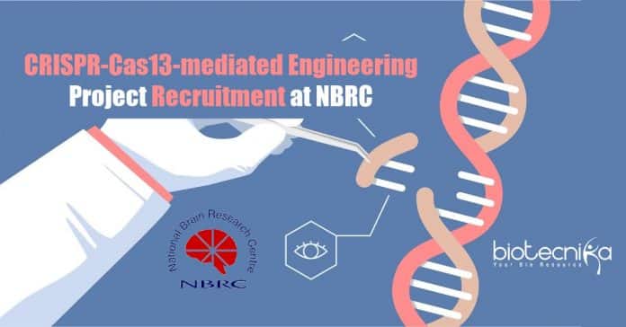 NBRC Molecular Biology Jobs