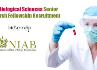 NIAB Biological Sciences Senior Research Fellowship Recruitment NIAB Biological Sciences