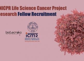 NICPR Jobs For Lifescience