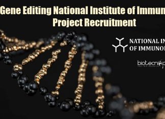 NII Lifescience SRF Job