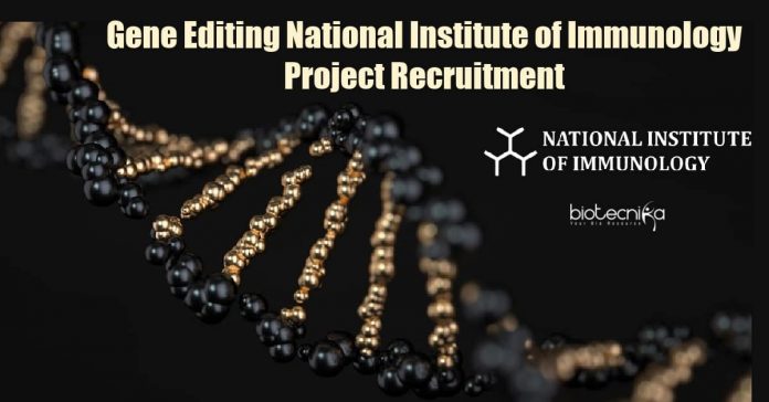 NII Lifescience SRF Job