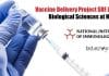 Vaccine Delivery Project SRF Job For Biological Sciences at NII NII SRF Biological Science