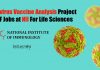 Flavivirus Vaccine Analysis Project SRF Jobs at NII For Life Sciences NII SRF Life Science