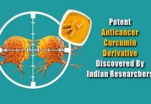 Promising Cancer Targeting Curcumin Derivative Found By Indian Researchers Novel Anticancer curcumin analog