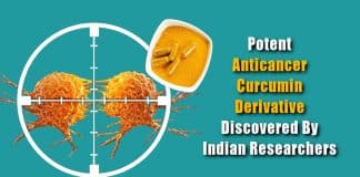Novel Anticancer curcumin analog