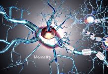 Panjab University Research Assistant Job – Applications Invited Panjab University Research Assistant