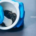 Presidency University Project Assistant Job For Botany / Microbiology & Life Science Presidency University Project Assistant