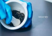 Presidency University Project Assistant Job For Botany / Microbiology & Life Science Presidency University Project Assistant