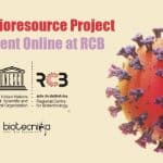 RCB Project Research Jobs