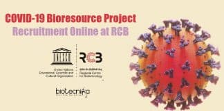 RCB Project Research Jobs