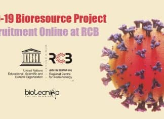 RCB Project Research Jobs