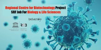 RCB SRF Project Jobs