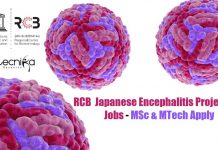RCB SRF Project Vacancy