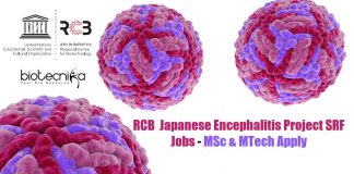 RCB SRF Project Vacancy
