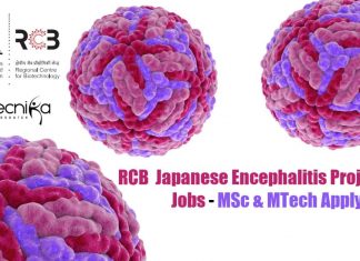 RCB SRF Project Vacancy