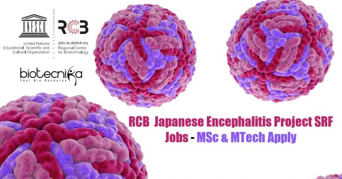 RCB SRF Project Vacancy