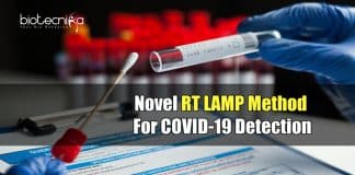 RT LAMP Based COVID Test