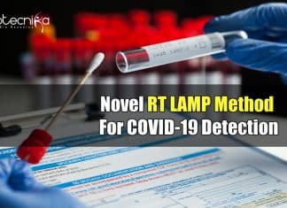 RT LAMP Based COVID Test