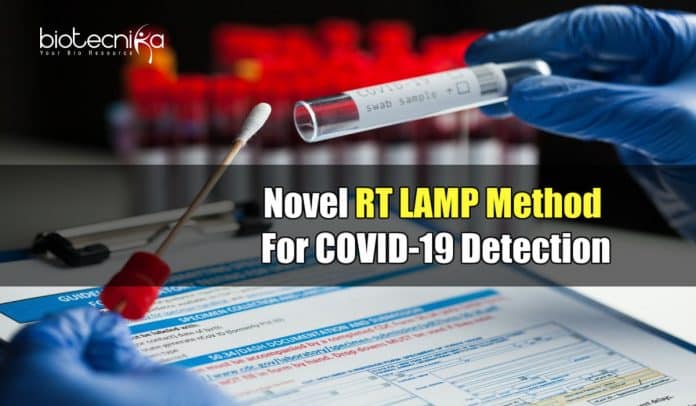 RT LAMP Based COVID Test