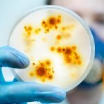 SASTRA Biotech & Life
