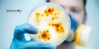 SASTRA Biotech & Life