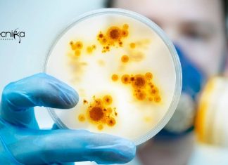SASTRA Biotech & Life