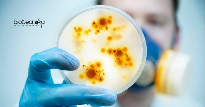SASTRA Biotech & Life