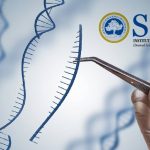 SRMIST Junior Research Fellow