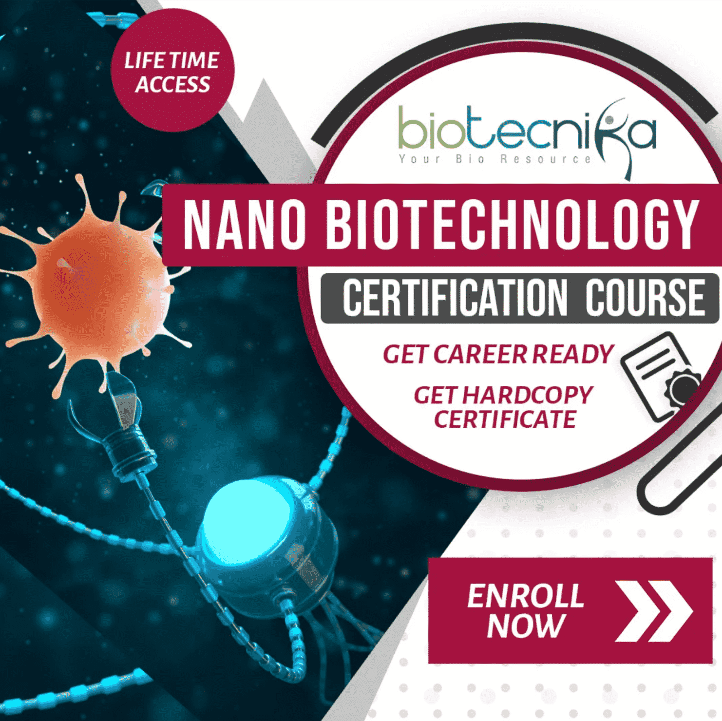 Nanobiotechnology career