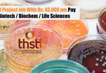 THSTI Project Job With Rs. 43,000 pm Pay – Biotech / Biochem / Life Sciences THSTI Project Job