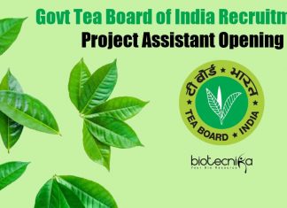 Govt Tea Board of India Recruitment – Project Assistant Opening Tea Board of India