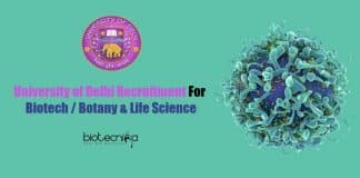 University of Delhi Recruitment