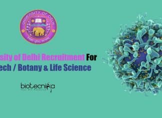 University of Delhi Recruitment
