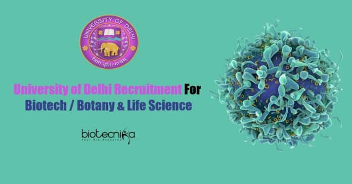 University of Delhi Recruitment