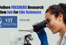 VIT Vellore FRESHERS Research Fellow Job For Life Sciences VIT Vellore FRESHERS Jobs